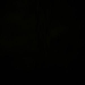 Meet your Posher, Trinity